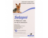 セラプロ超小型犬（2.6-5kg）用6本