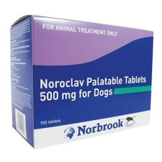 ノロクラブ（アモキシシリン500mg）40錠