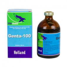 ゲンタ１００（ゲンタマイシン10%100ml）注射液